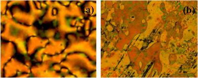 Evaluation of Photoswitching Properties for Hockey Stick-Shaped Mesogens Bearing Azo Benzene Moieties